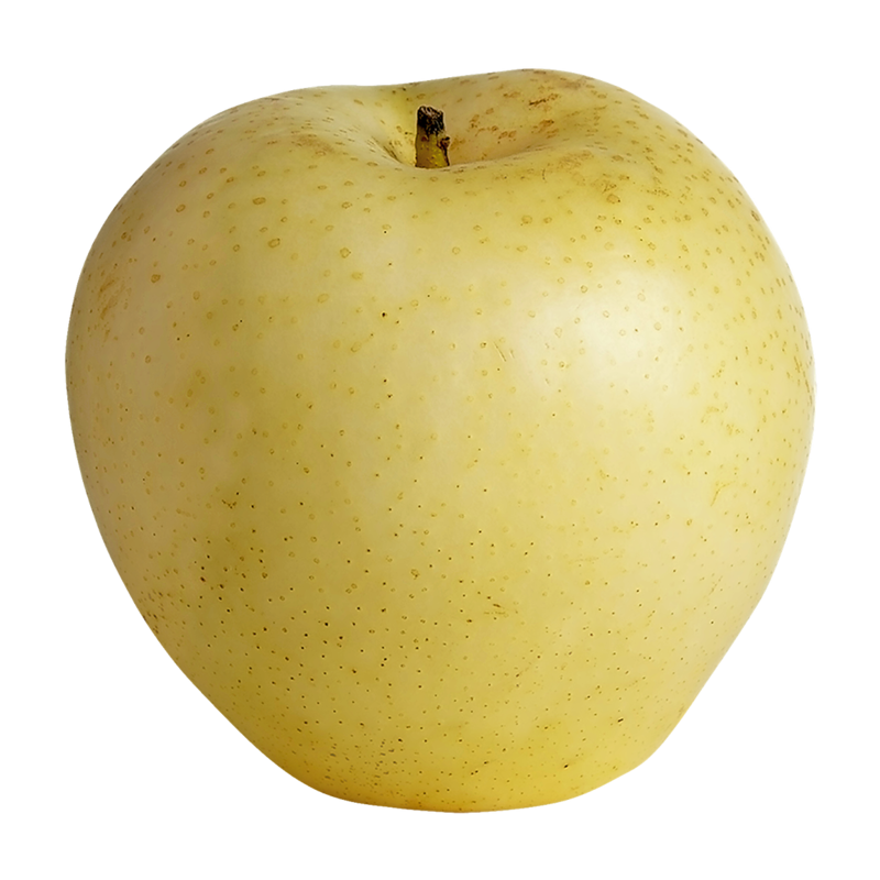 Yellow Asian Pears