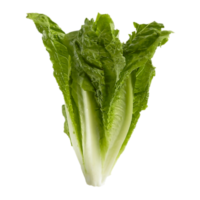 null Organic Romaine Lettuce 1 ea, $5.49/1ea