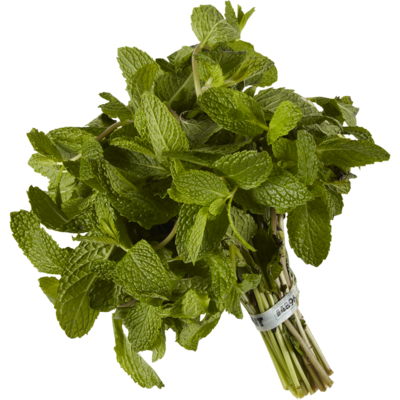 null Mint Bunch 1 ea, $14.69/1ea
