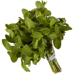 null Botte de menthe 1 ea, 14,69 $/1ch