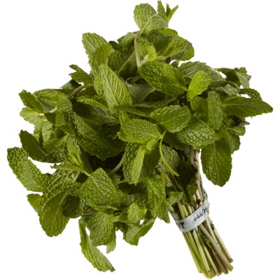 null Botte de menthe 1 ea, 14,69 $/1ch