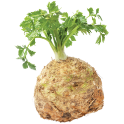 null Céleri-rave 4,99 $/1kg 2,26 $/1lb