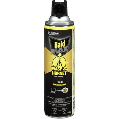 Raid Max Wasp and Hornet Insect Killer Spray 1 ea, $14.00/1ea