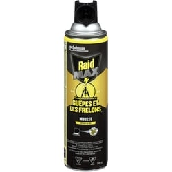 Raid Mousse insecticide contre les guêpes et les frelons 1 ea, 13,00 $/1ch