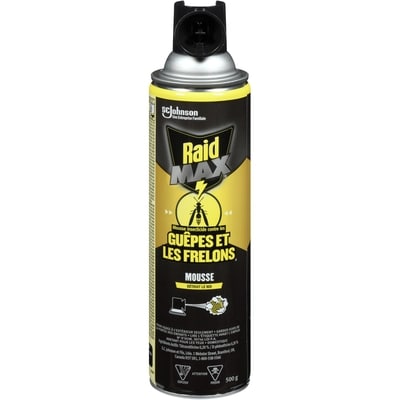 Raid Mousse insecticide contre les guêpes et les frelons 1 ea, 14,00 $/1ch