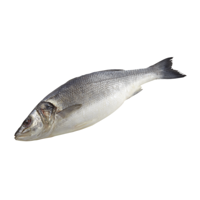 null European Sea Bass, Whole $30.84/1kg $13.99/1lb
