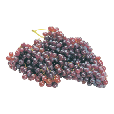 Sunlight Champagne Grapes 454 g, $1.32/100g