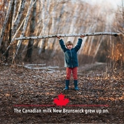 Baxter 3.25% Homogenized Milk - 2 l | Atlantic Superstore