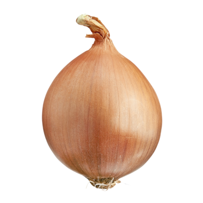 null Oignon espagnol, caisse 1 ea, 1,19 $/1kg