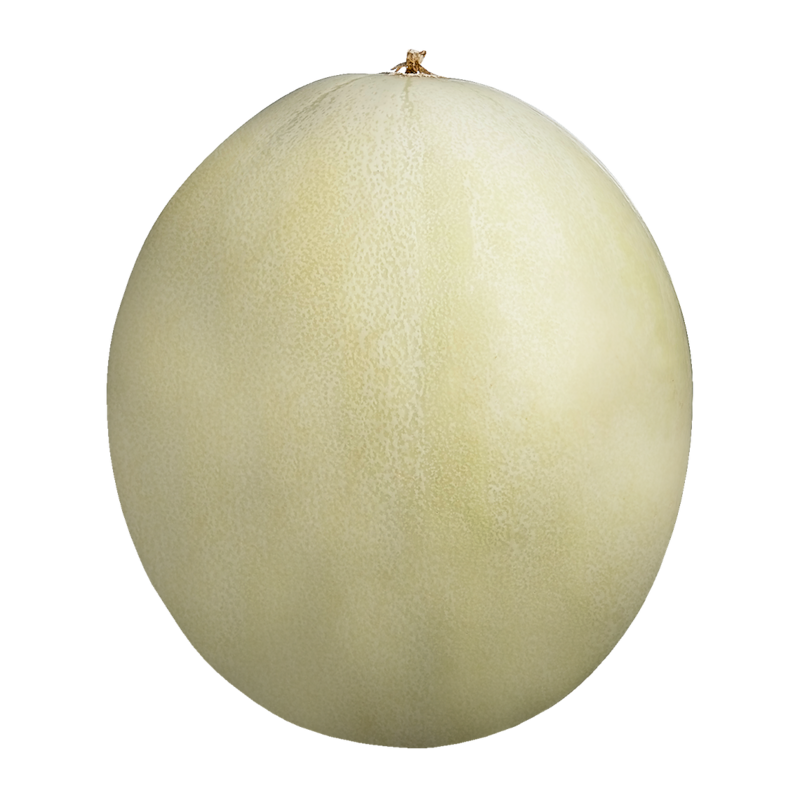 Honeydew Melon