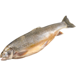 null Omble chevalier, entier 37,46 $/1kg 17,00 $/1lb