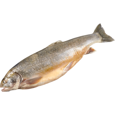 null Omble chevalier, entier 37,46 $/1kg 17,00 $/1lb