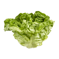 null Boston Lettuce 1 ea, $6.99/1ea
