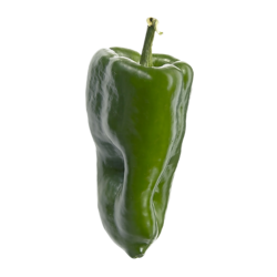 null Poblano Peppers $11.00/1kg $4.99/1lb