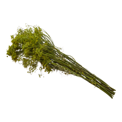 null Dill Weed for Pickling 1 ea, $2.99/1ea