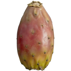 null Figues de Barbarie 1 ea, 1,50 $/1ch