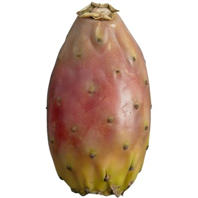 null Figues de Barbarie 1 ea, 1,50 $/1ch