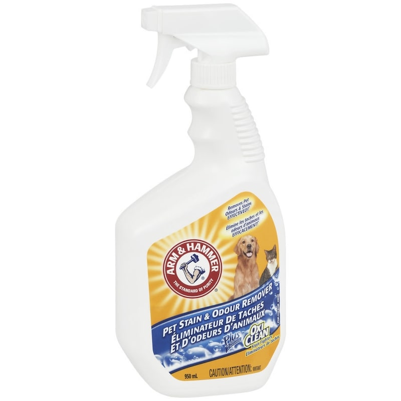 Pet Stain & Odor Remover Plus Oxi Clean