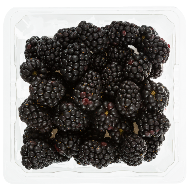 Blackberries Half Pint