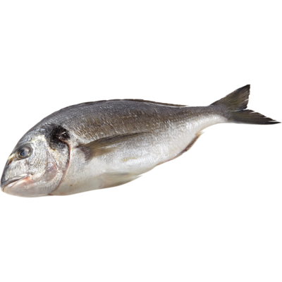 null European Sea Bream, Whole $24.23/1kg $10.99/1lb