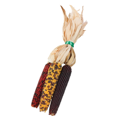 null Mini maïs décoratif paquet de trois 1 ea, 3,00 $/1ch