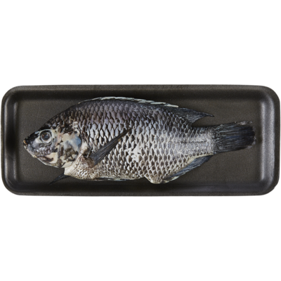null Fresh Whole Red Tilapia $22.02/1kg $9.99/1lb