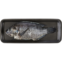 null Tilapia rouge entier frais 22,02 $/1kg 9,99 $/1lb