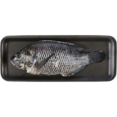 null Tilapia rouge entier frais 22,02 $/1kg 9,99 $/1lb