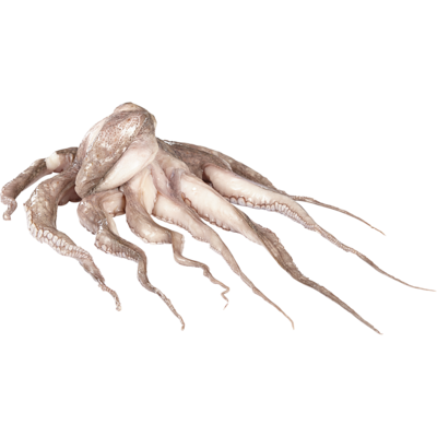 null Frozen Tenderized Octopus $28.64/1kg $12.99/1lb