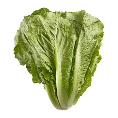 null Laitue romaine 1 ea, 4,46 $/1ch