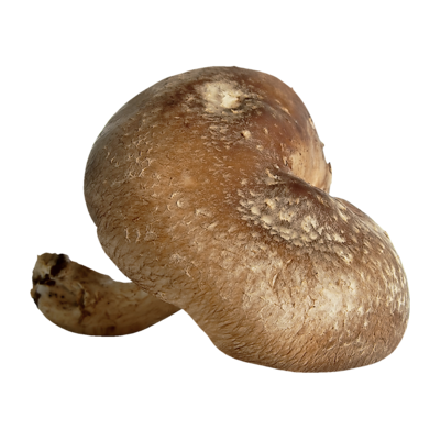 null Shiitake Mushrooms $3.08/100g $30.84/1kg