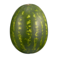 Melon d’eau rouge sans pépins