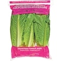 Cœur de Romaine, paquet de 3