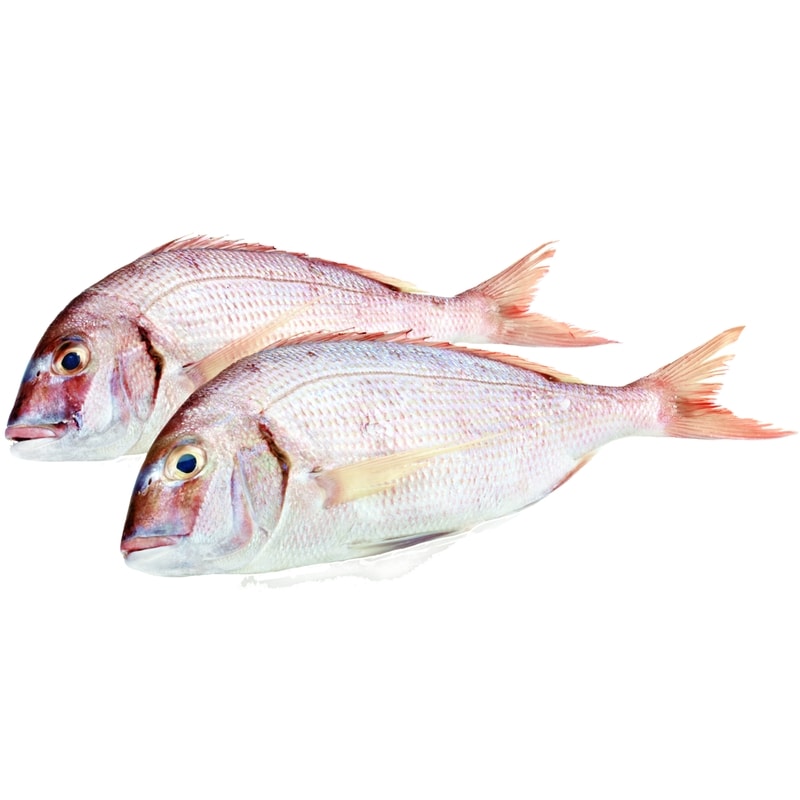 Whole White Snapper | Fortinos