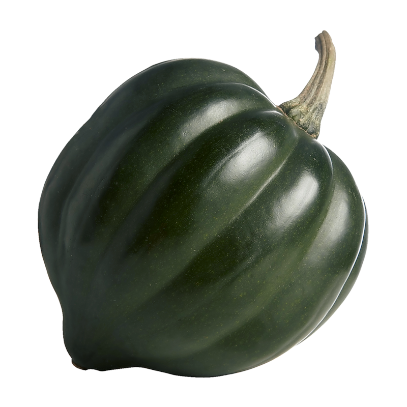 Acorn Squash