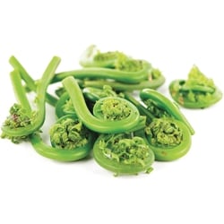 null Tête-de-violon 15,41 $/1kg 6,99 $/1lb