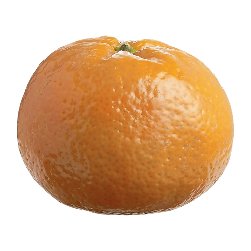 20072482001_en_front_800.png