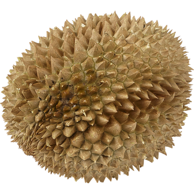null Whole Durian, Frozen $11.00/1kg $4.99/1lb
