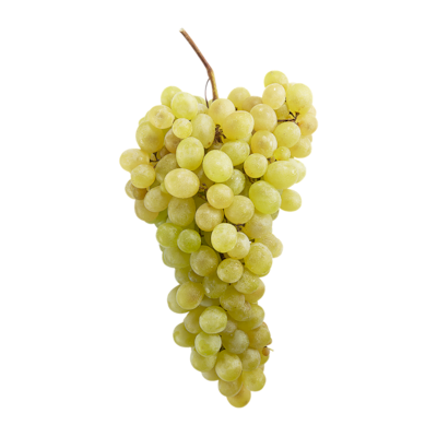 null Italia Seeded Grapes $11.00/1kg $4.99/1lb
