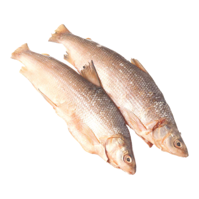 null Whitefish Whole Fresh $20.92/1kg $9.49/1lb