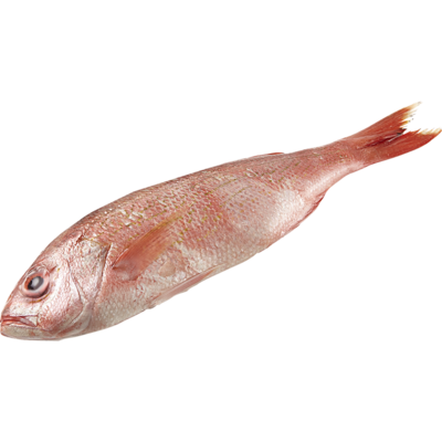 null Vivaneau entier frais 39,66 $/1kg 17,99 $/1lb