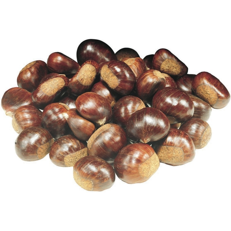 Raw Chestnuts