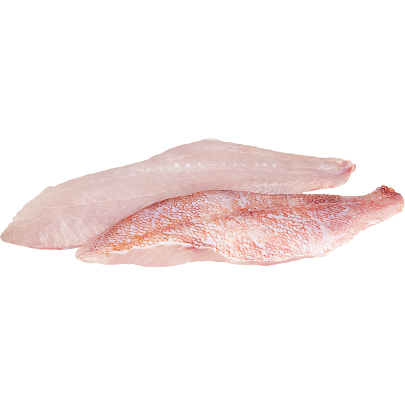 Atlantic Perch Fillets