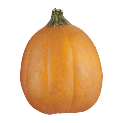 null Pumpkin, Large 1 ea, $3.00/1ea