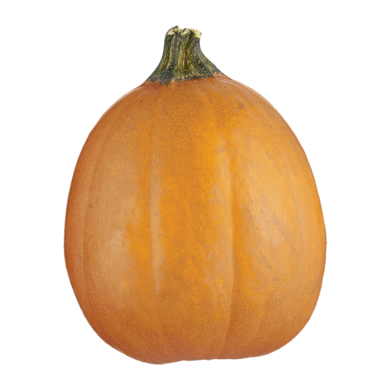 Pumpkin, Large - 1 ea | Zehrs