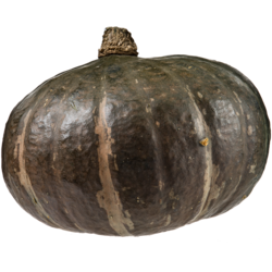 null Courge Sweet Mama 4,41 $/1kg 2,00 $/1lb