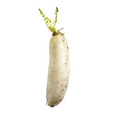 null LoBok (Radis daikon) 2,82 $/1kg 1,28 $/1lb