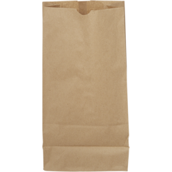 null Kraft Paper Bags 20LB 500 ea