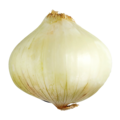 Oignon doux