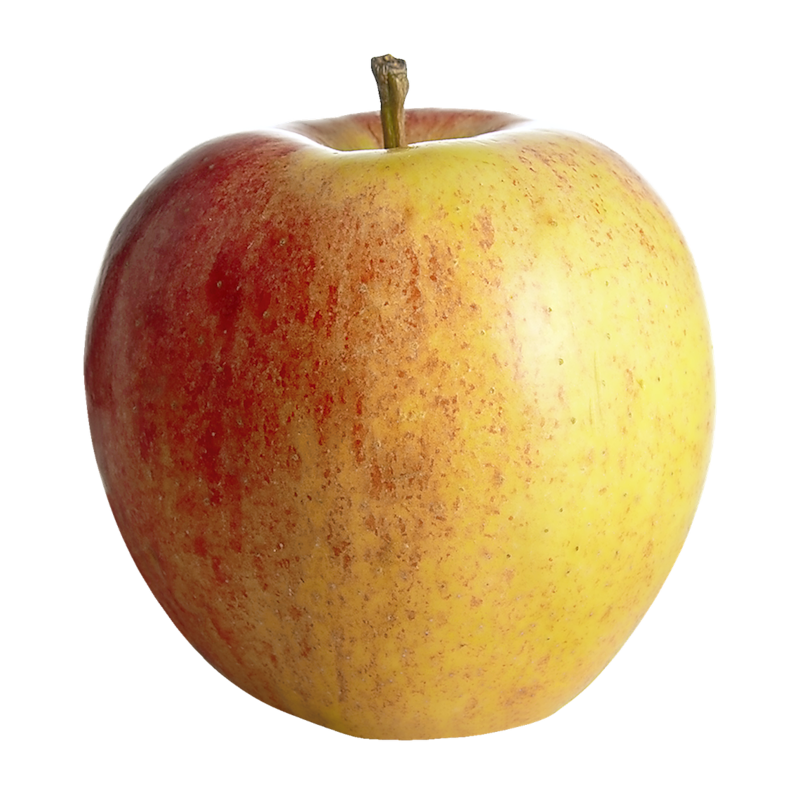 Royal Gala Apples